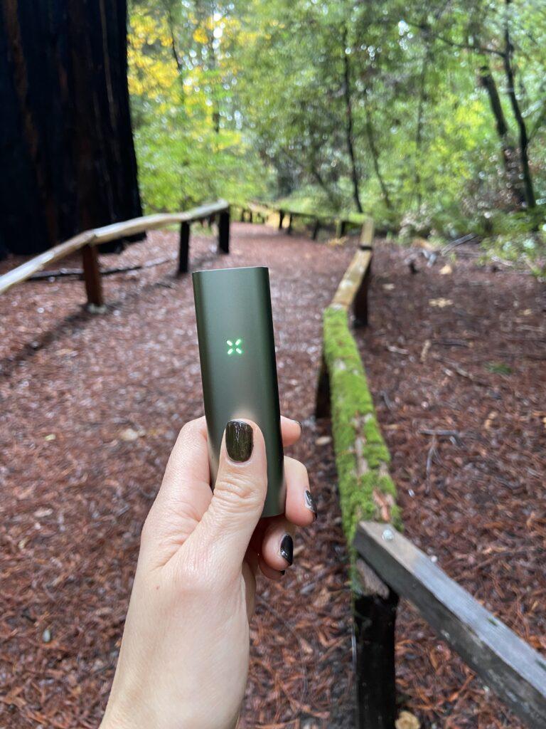 Marge holding her pax 3 vaporizer in the California redwoods.