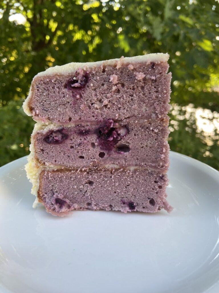 slice of blueberry cake side view