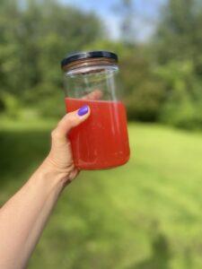 fruit kvass