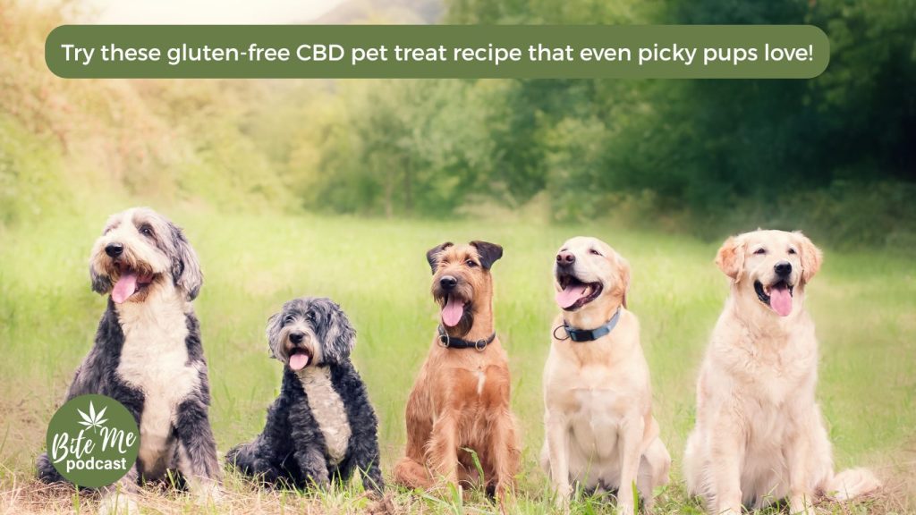 image a 5 dogs sitting in a row with their tongues out looking happy for the gluten free cbd pet treats