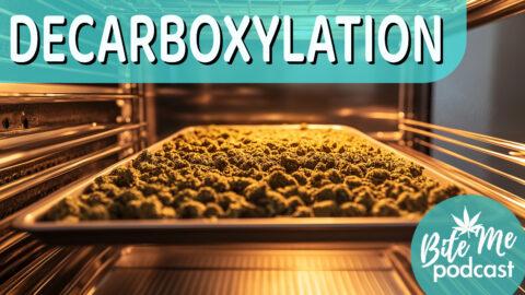 Cannabis infusions: A complete guide for edibles chefs