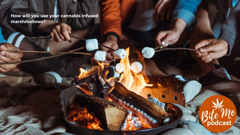 image of people seated around a campfire roasting cannabis infused marshmallows