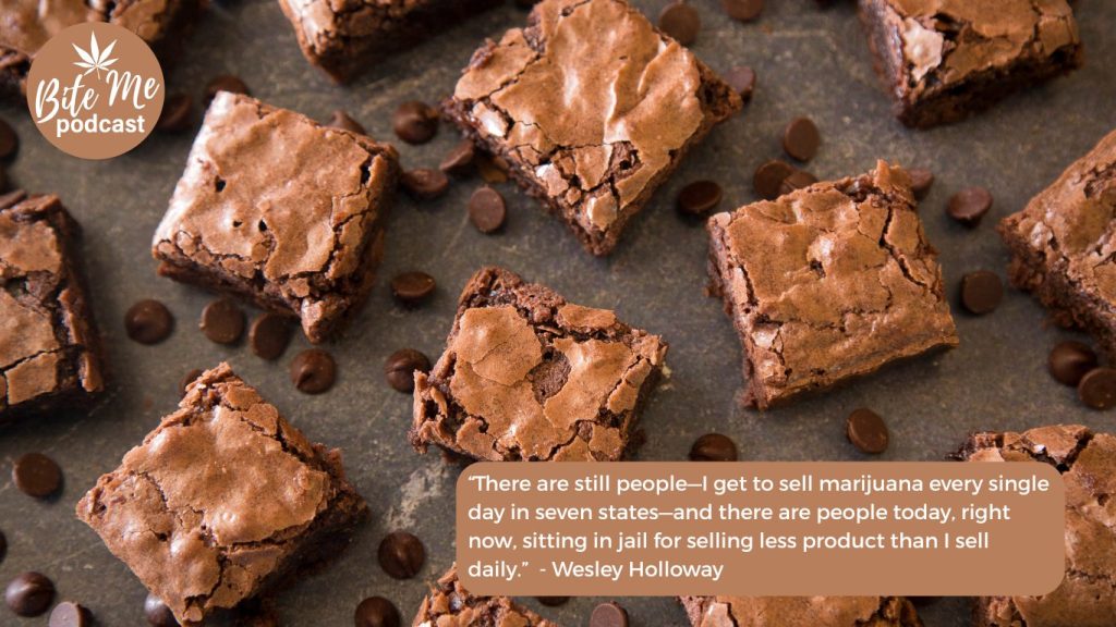 image of a several squares of brownies for the episode with wesley holloway of benevolent bakery