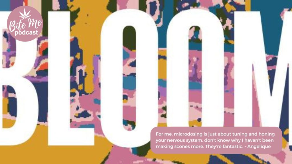 image of the north bloom magazine logo