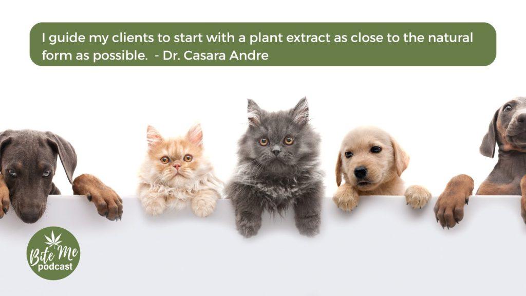 image of a row of cats and dogs with paws over a white wall for using cannabis for your pet with dr. casara andre