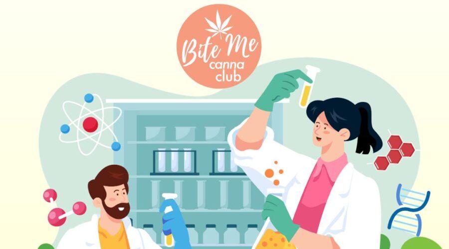 the ecs - endocannabinoid system explained